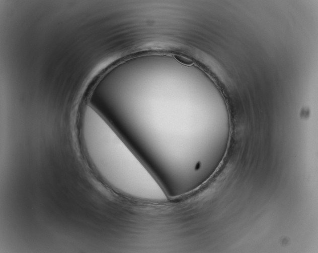 X0000103241026200808281028