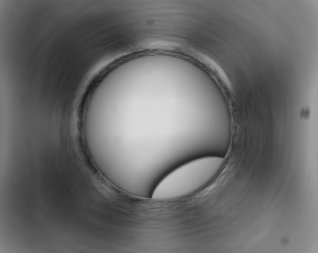X0000103241027200808281028