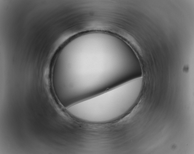 X0000103241030200808281028