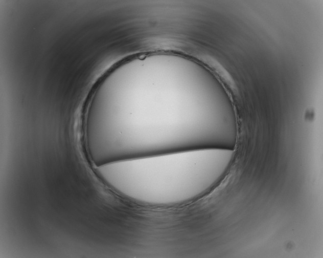 X0000103241031200808281028