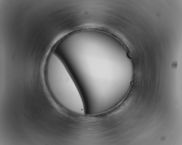 X0000103241034200808281028