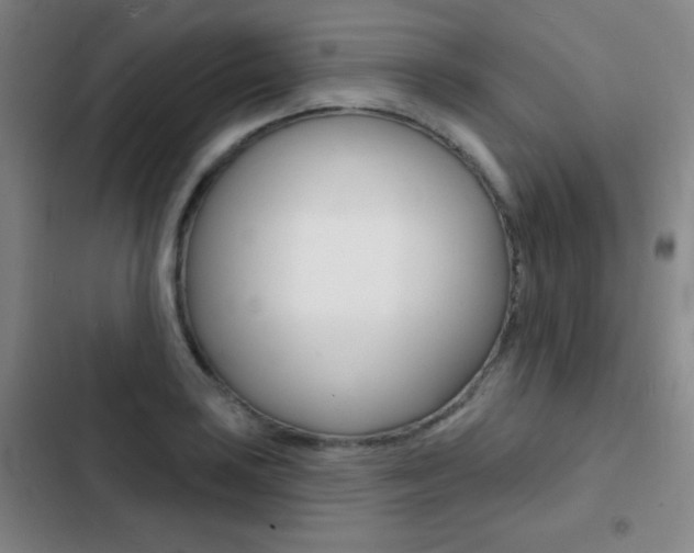 X0000103241035200808281028