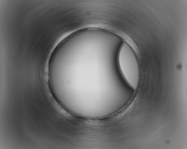 X0000103241036200808281028