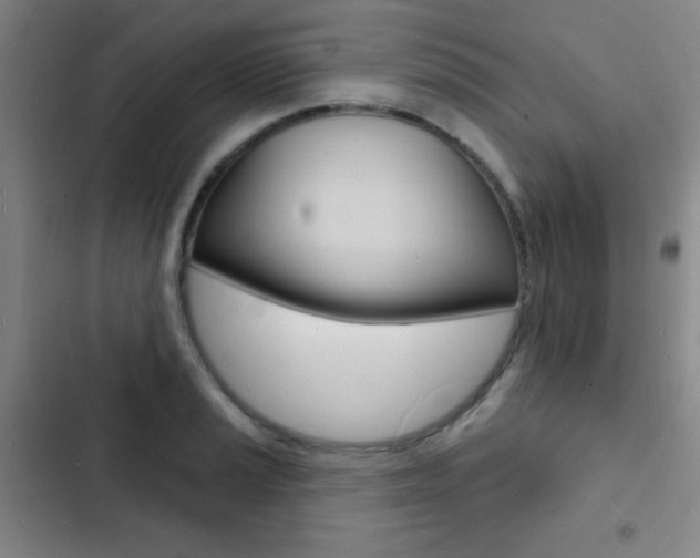 X0000103241037200808281028