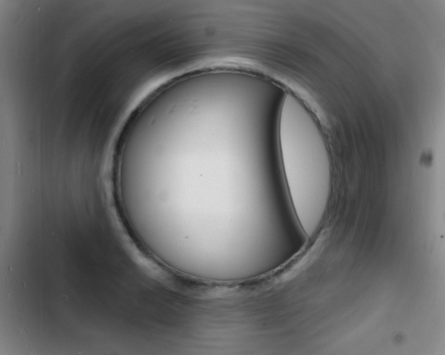 X0000103241038200808281028