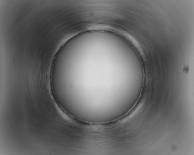X0000103241041200808281028