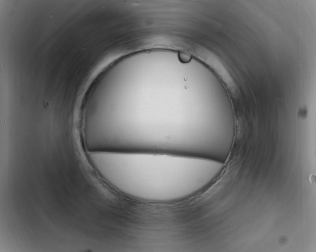 X0000103241043200808281028