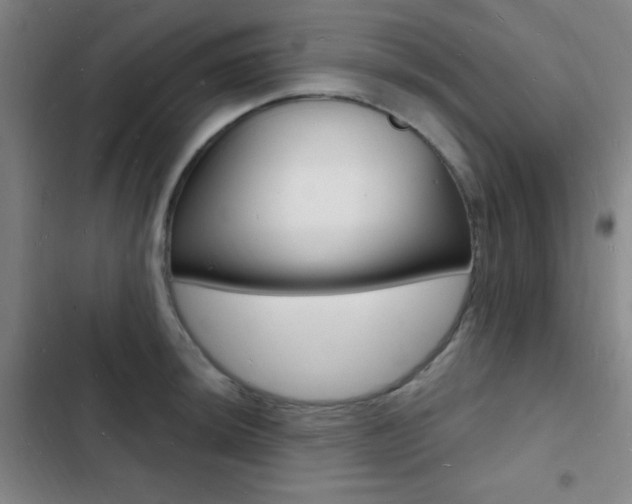 X0000103241044200808281028