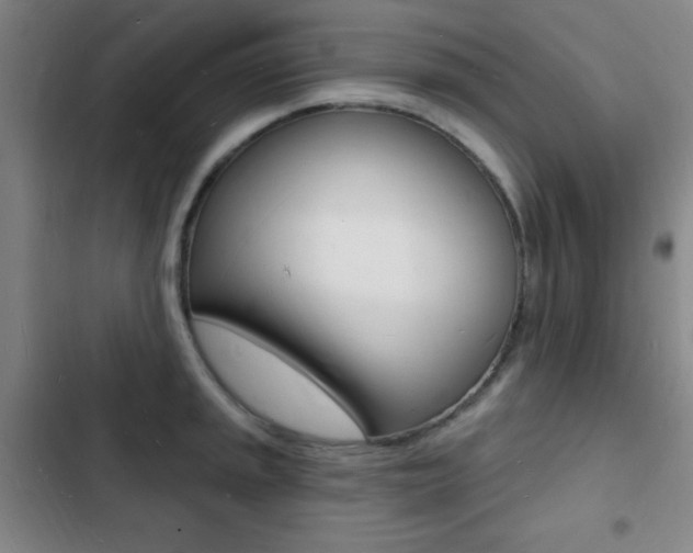 X0000103241045200808281028