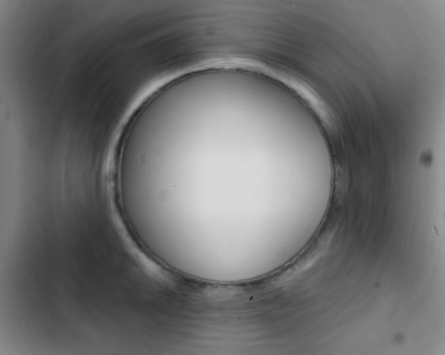 X0000103241046200808281028