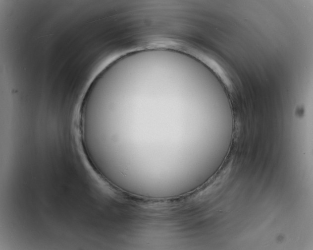 X0000103241047200808281028