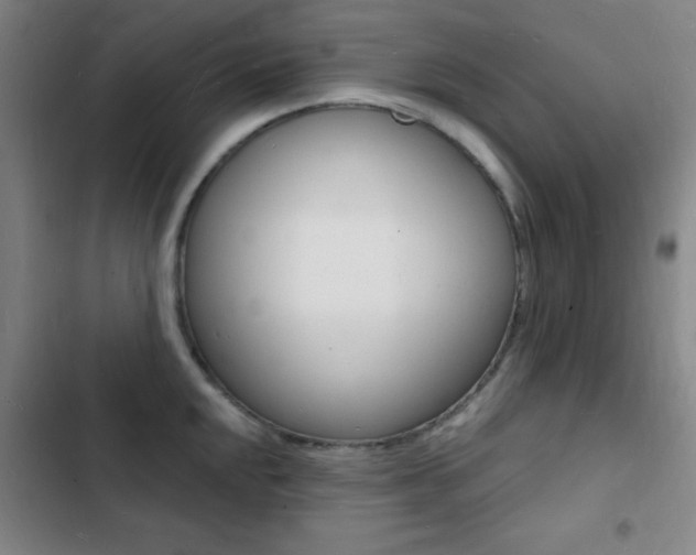 X0000103241048200808281028