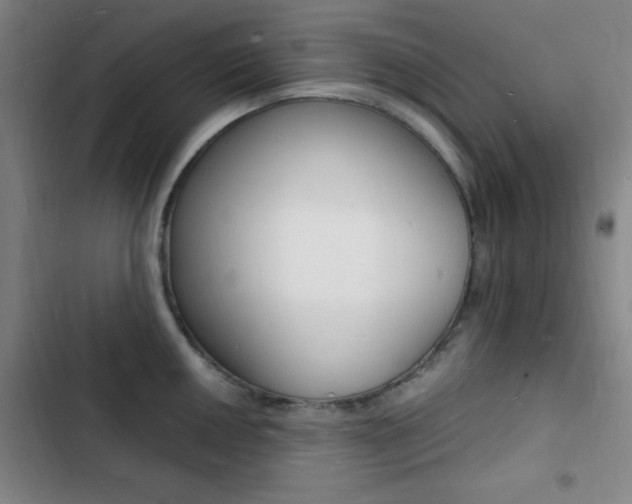 X0000103241050200808281028