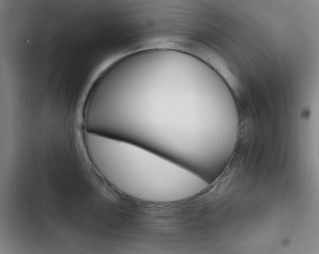 X0000103241051200808281029