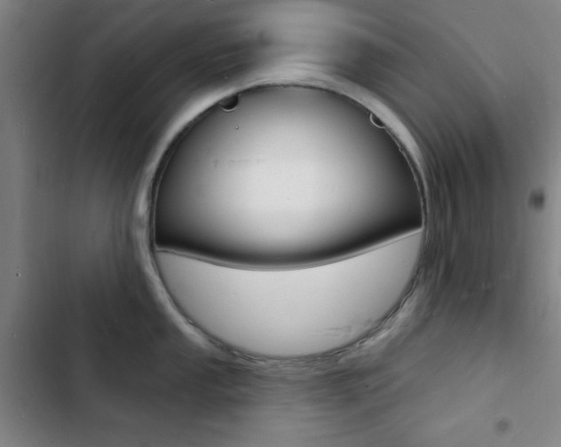 X0000103241053200808281029