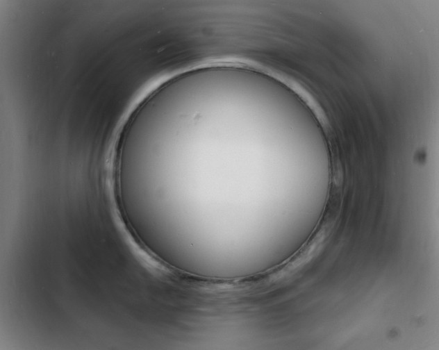 X0000103241054200808281029
