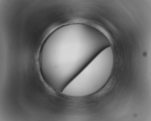 X0000103241055200808281029