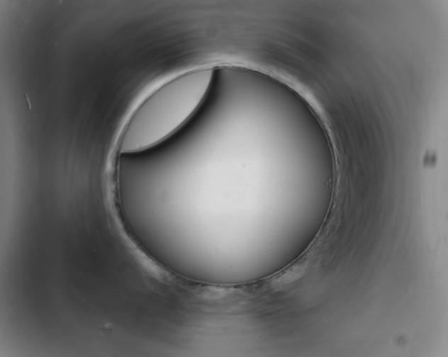 X0000103241056200808281029