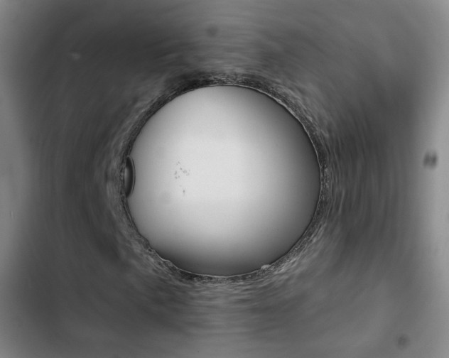 X0000103241057200808281028
