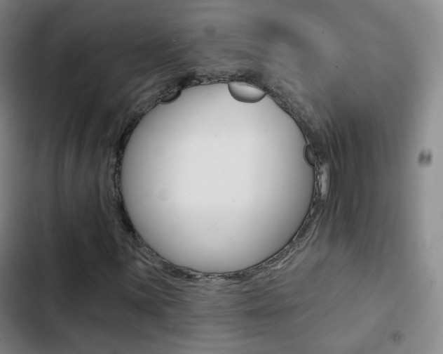 X0000103241059200808281028