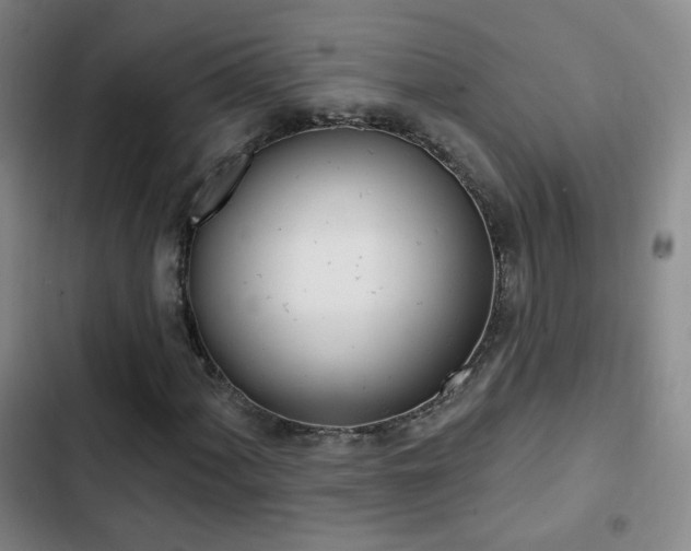 X0000103241060200808281028