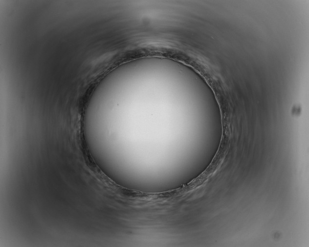 X0000103241061200808281028