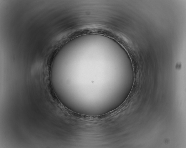 X0000103241062200808281028