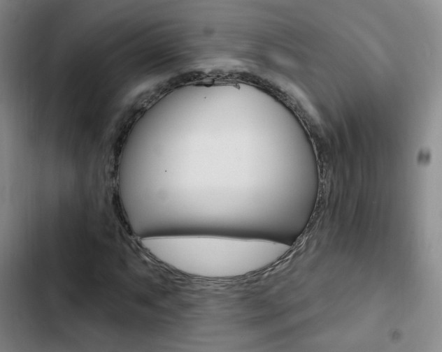 X0000103241063200808281028