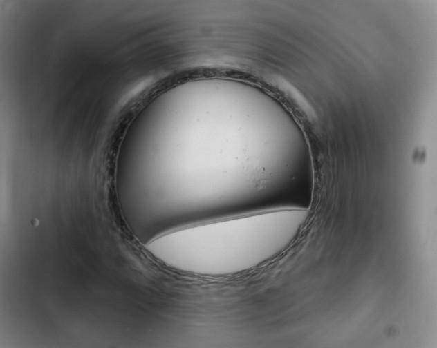 X0000103241064200808281028