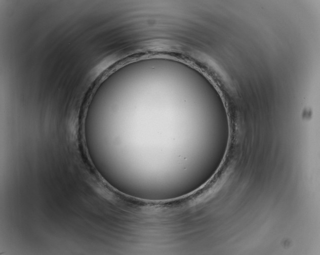 X0000103241065200808281028