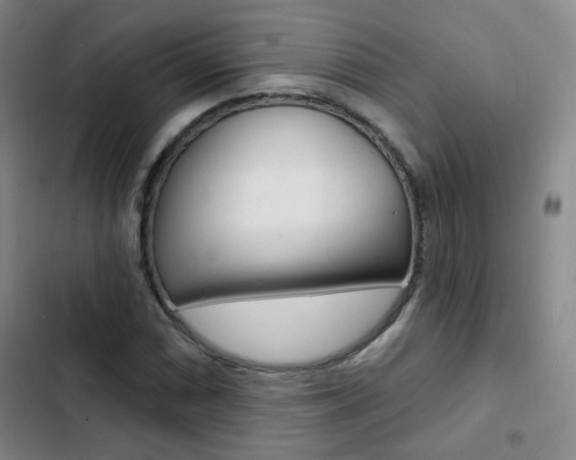 X0000103241066200808281028