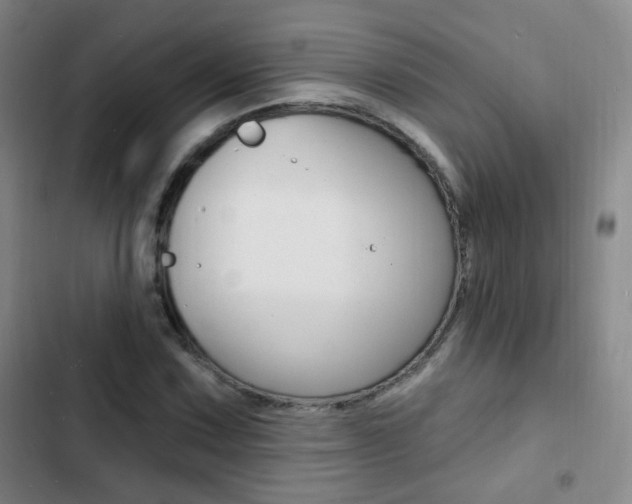 X0000103241067200808281028