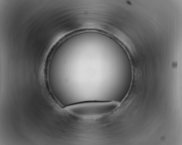 X0000103241068200808281028