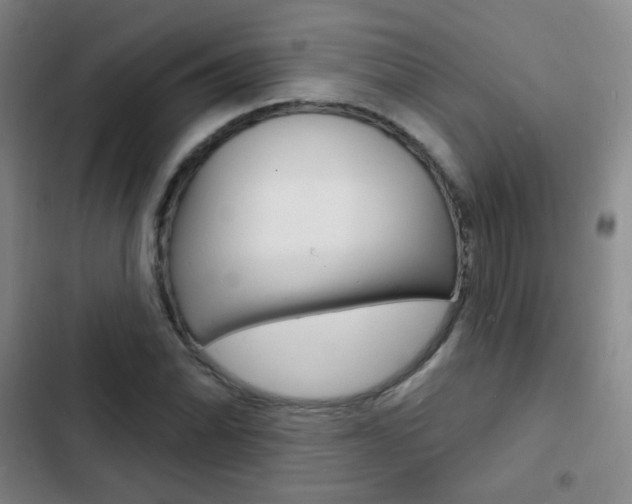 X0000103241070200808281027
