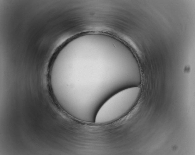 X0000103241071200808281027