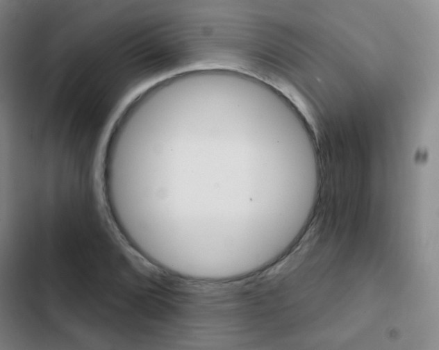 X0000103241072200808281027