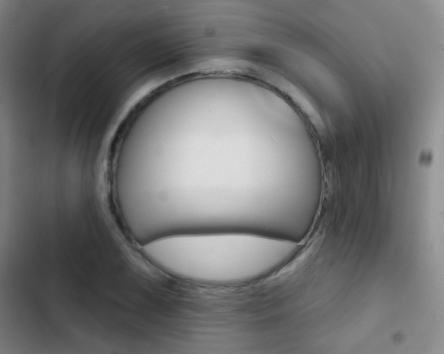 X0000103241075200808281027