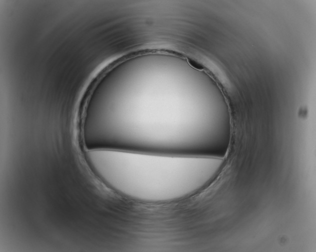 X0000103241076200808281027