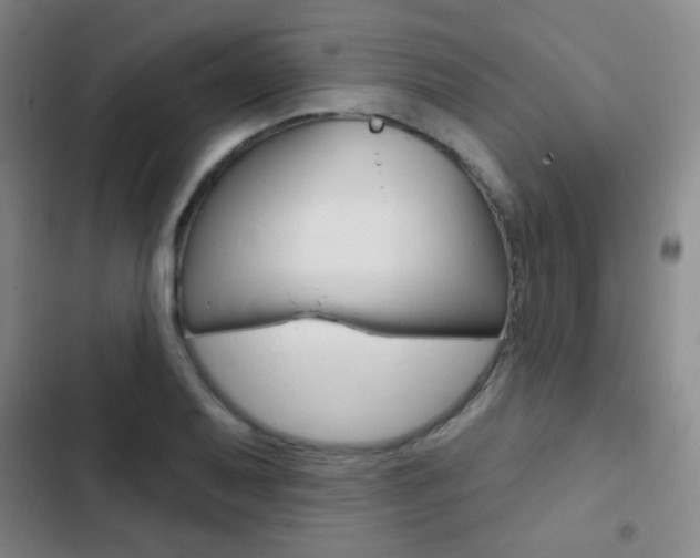 X0000103241079200808281027