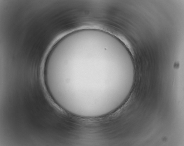 X0000103241080200808281027