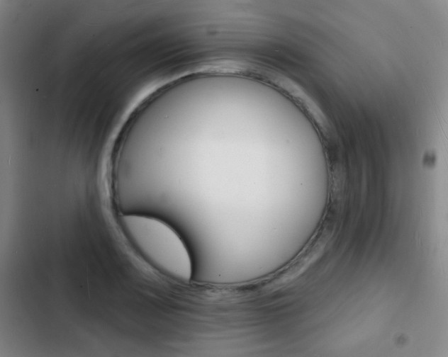 X0000103241083200808281027