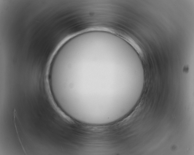 X0000103241084200808281027