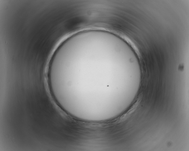 X0000103241085200808281027