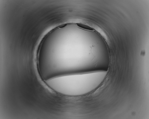 X0000103241088200808281027