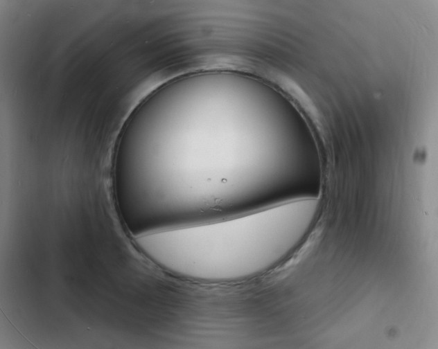 X0000103241089200808281027