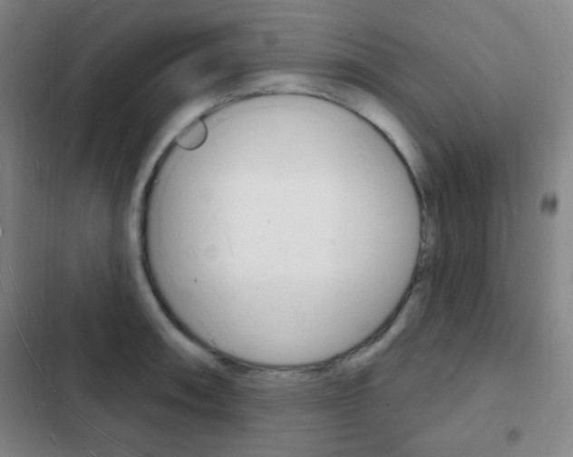 X0000103241090200808281027