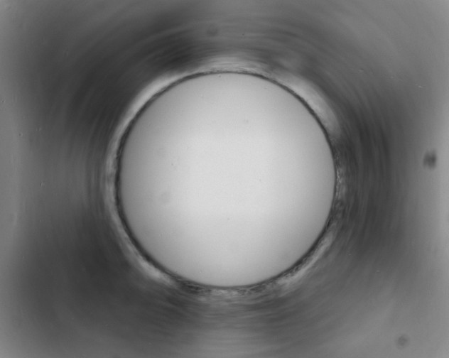 X0000103241094200808281027