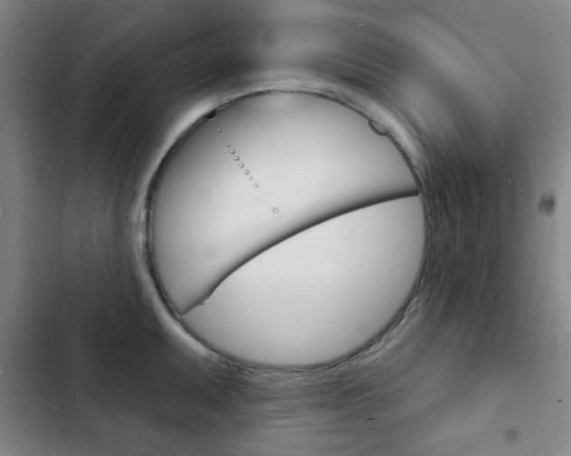 X0000103241095200808281027