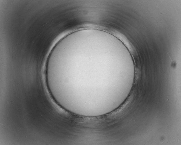 X0000103241098200808281027