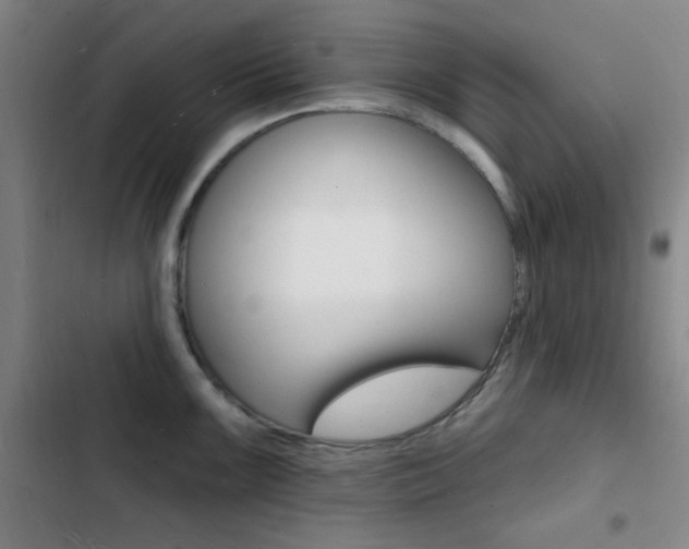 X0000103241099200808281027